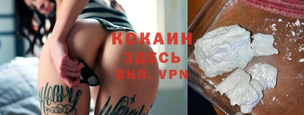 индика Карпинск