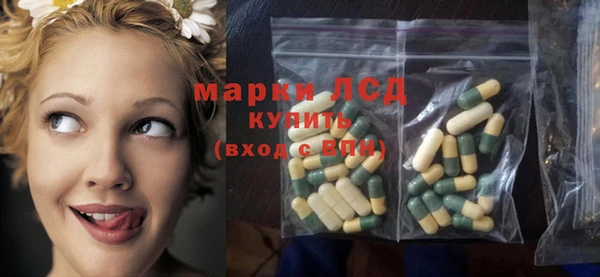 индика Карпинск