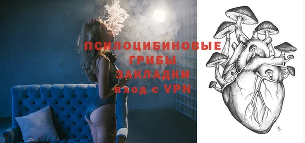 дживик Киренск
