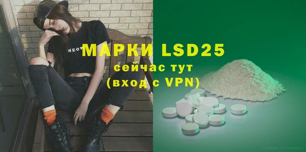 индика Карпинск