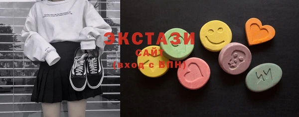 индика Карпинск