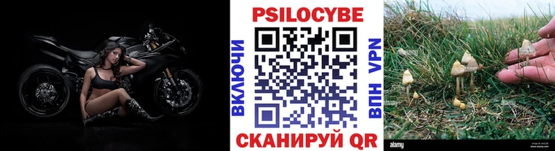 Купить  Нытва  Псилоцибиновые грибы ЛСД 