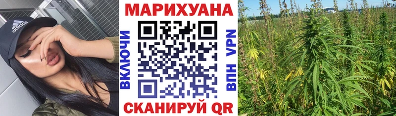 Купить закладки  Нытва  Канабис Amnesia 